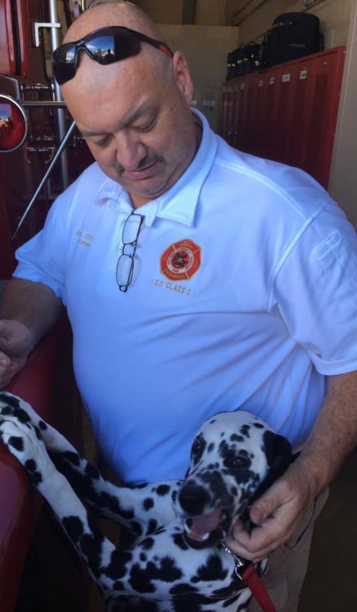 Jeff Jones and dalmatian A man in a white fire department polo shirt stands indoors, petting a happy Dalmatian dog that has its front paws up on a red surface. Red lockers are visible in the background.